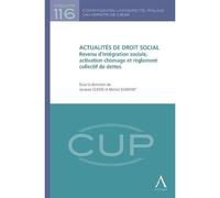 Actualités de droit social - revenu d'intégration sociale, activation chômage et Sous la direction de: jacques clesse, michel dumont - Collectif - Anthemis - broché - Manuel