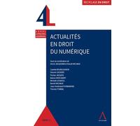 Actualites en droit du numerique - MICHAUX B. JACQUEMIN H. - Anthemis - broché - Etude
