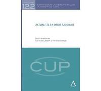 Actualités en droit judiciaire Collectif (Auteur)