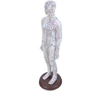 Acupoint Modèle professionnel 52 cm Humain avec point d'acuppoints chinois pour s'entraîner Base en bois