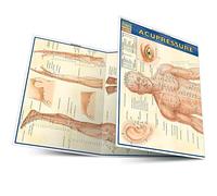 [[Acupressure (Quickstudy: Academic)]] [By: Vincent Perez] [July, 2005]