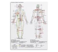 Acupuncture and Meridian Chart Poster Five Elements Theory Reference Traditional Chinese Medicine Wall Art for Home Office(Unframed,08x12inch(20x30cm))