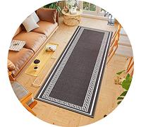 ACUY Tapis D'EntréE à Profil Bas 100x140cm Tapis Poil Ras Antidérapant & Anti-Glisse Facile à Nettoyer pour Couloir pour Cuisine, Chambre à Coucher & Couloir,