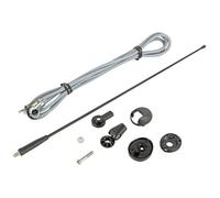 Antenne de toit AM FM universelle 41cm 0-90 Cable 2.45m