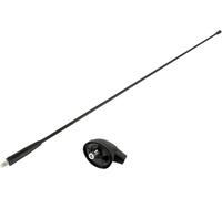 ACV Antenne 15-7657009 universelle pour autoradio