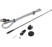 ACV Antenne universelle pour autoradio 15-7657016