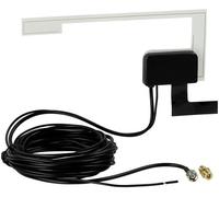 ACV Fouet dantenne de rechange pour autoradio