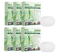 ACV x EGCG Patches Nano Microneedle Slimming Patch - 10 in 1 - Fat Burning Slimming Patch, Firming and Metabolism, Portable, Comfortable and Suitable for All Skin Types