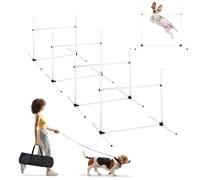 ACXIN Agility Kit d'obstacles d'entraînement pour chien avec 4 obstacles, barres de slalom, équipement d'agilité pour chiens, facile à transporter, hauteur réglable avec sac, 104 x 70 x 101 cm, blanc
