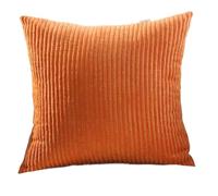 adadvo Housse Coussin 40x40 60x60 45x45 50x50 30x50 Canapé Housse de Coussin 50x70 40x60 Taie d'oreiller 65x65 40x60 40x70(B19,2Pack 60x60cm)