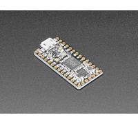 Adafruit ItsyBitsy RP2040, 8 Mo, 125 MHz, par exemple pour MicroPython/CircuitPython, 4888