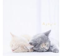 Adagio All Stars [W/Sticker] [Import Allemand]