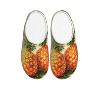 ADAhgu Impression de peinture à l'ananas Pantoufles TPR pour adultes lavables pour hommes et femmes Chaussures d'hiver respirantes et confortables