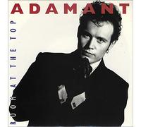 ADAM ANT - room at the top 12
