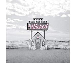 Adam Baldwin - No Rest For The Wicked [VINYL] [Vinyl LP]
