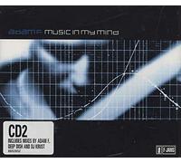 Adam F - Music in My Mind(5remix)