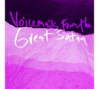 Adam Gnade - Voicemails From The Great Satan