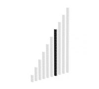 Adam Hall - 61535B14 - Profilé rack en acier 2 mm, 14U