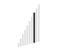 Adam Hall - 61535B16 - Profilé rack en acier 2 mm, 16U