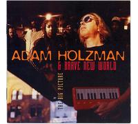 Adam Holzman - Big Picture