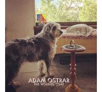 Adam Ostrar - The Worried Coat [VINYL]