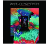 Adam Wingard - Past Life Regression [Vinyl Lp] Black, 180 Gram