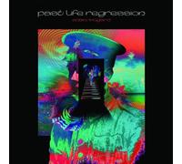 Adam Wingard - Past Life Regression [Vinyl Lp] Black, 180 Gram