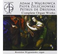 Adam Z Wagrowca, Piotr Zelechowski, Petrus de Drusina-Organ Works