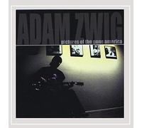 Adam Zwig - Pictures of The Gone America