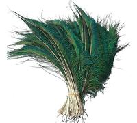 Adamai Naturel teinté Plume de paon Sword Décoration 25-30 cm Pack of 25