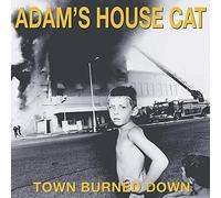 Adams House Cat – World Burned Down