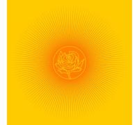 Adams Ryan - Easy Tiger [Import]