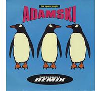 Adamski - Space jungle (Earthquake Remix) [VINYL]