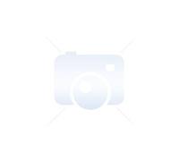 - Adaptateur audio/vidéo - Micro-USB de type B mâle pour HDMI, Micro-USB de type B femelle - 15 cm - noir - pour HTC Sensation 4G; Samsung Galaxy S
