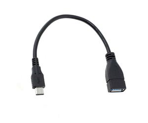 Adaptateur Avizar Date-OTG-USBC pour une connexion rapide et sécurisée, câble OTG haute vitesse pour périphériques flash