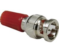 Adaptateur BNC BKL Electronic 0401228 BNC femelle - Borne de polarité 1 pc(s)
