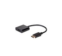 Adaptateur convertisseur avec câble DisplayPort (m) AK-AD-11