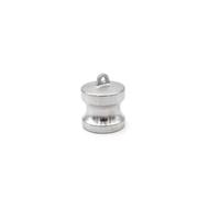 Adaptateur de raccord Camlock mâle femelle en acier inoxydable, 1/2 "3/4" 2 "-4" BSP304, barbe à déconnexion rapide for pompe à tuyau, brassage à domicile, 1 pièce(DP Type,2")
