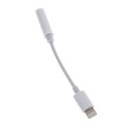 Adaptateur D'Écouteurs Adapté À Apple, Lightning À 3.5mm, Audio, Écoute De Musique, Support Iso14