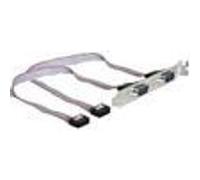 Adaptateur - Delock - interface/genre 2x D-Sub9 seriell Ports G