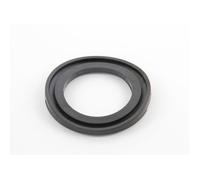 Hayward - Adaptateur d'étanchéité pour Filtre à Sable Pro Side - Noir - SX0244DE