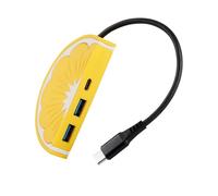 Adaptateur d'extension USB C avec 2 adaptateurs USB 3.0 + type C pour charger efficacement les appareils, tablettes, ordinateurs portables, téléphones portables