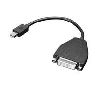 - Adaptateur DisplayPort - liaison simple - Mini DisplayPort (M) pour DVI-D (F) - 20 cm - pour ThinkCentre M75t Gen 2; ThinkPad P51; ThinkStation