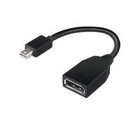 - Adaptateur DisplayPort - Mini DisplayPort (M) pour DisplayPort (F) - 17.6 cm - pour ThinkCentre M70; M75t Gen 2; M80; M90; ThinkStation P330 Gen 2;