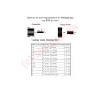 Adaptateur femelle PE Compression Codital ?40-1"1/4 de Codital - Raccord PE compression