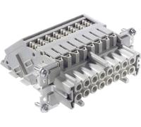 Adaptateur femelle TB-H-BE 16 LAPP TB-H-BE 16 BRE 70315100 Pôle: 16 + terre 10 pc(s)