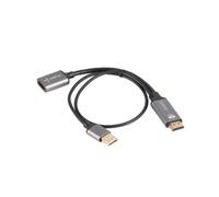 Adaptateur HDMI vers DisplayPort - LANBERG - 4K - 20CM - Noir - Garantie 3 ans