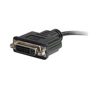 Adaptateur HDMI vers DVI-D - Convertisseur HDMI vers DVI-D Single Link - M/F - Convertisseur vidéo - HDMI - DVI - noir