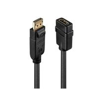 LINDY 41005 Câble adaptateur [1x DisplayPort mâle - 1x HDMI femelle] noir 15.00 cm