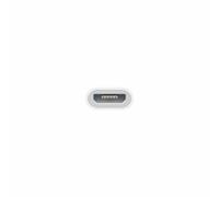 Adaptateur Micro USB vers Lightning Apple MD820ZM/A